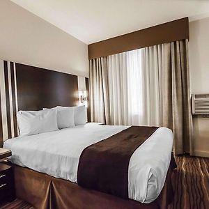 Chambre Lit Queen-Size